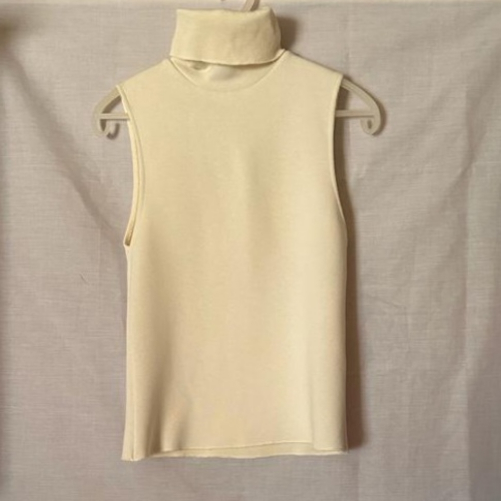 Zara Turtleneck Blouse